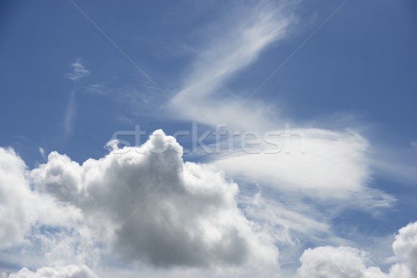 Cielo di sfondo alto cielo dettaglio nubi Foto d'archivio © pedrosala