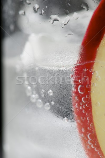 Gin maçã servido vidro água gelo Foto stock © pedrosala
