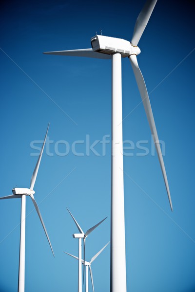 Wind energy Stock photo © pedrosala