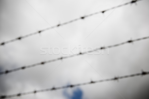 Barbed wire fence Stock photo © pedrosala