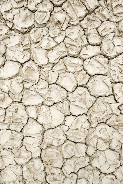 干ばつ 土地 高い 地球 死んだ ストックフォト © pedrosala