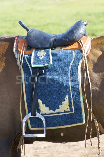 Mongolian seddle Stock photo © pedrosala