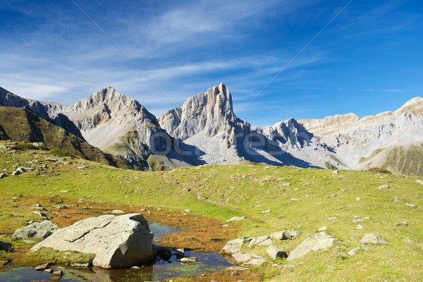 Pyrenees Stock photo © pedrosala