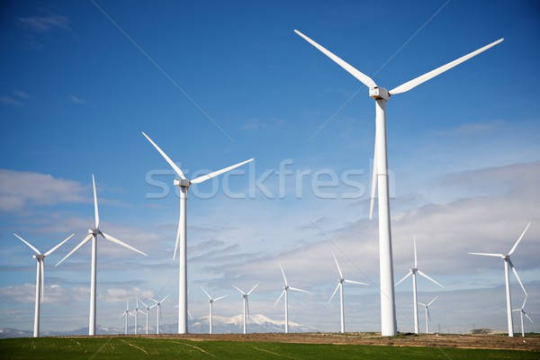 Wind energy concept Stock photo © pedrosala