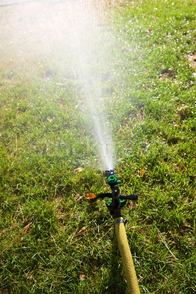 Sprinkler primo piano giardino primavera panorama Foto d'archivio © pedrosala