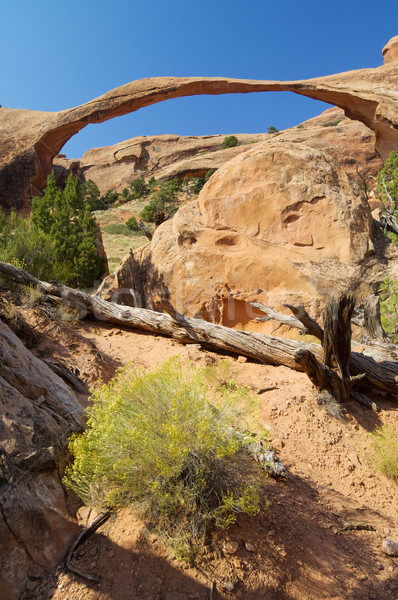 Arches National Park Stock photo © pedrosala
