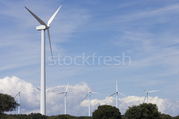windmills group Stock photo © pedrosala