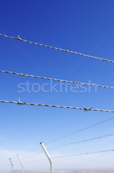 barbed wire fence Stock photo © pedrosala