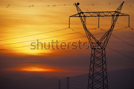 Power line Stock photo © pedrosala