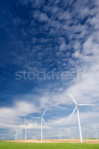 Szél energia elektromos erő gyártás mező Stock fotó © pedrosala