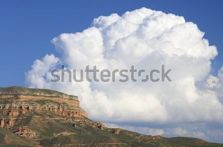 Pyrenees Stock photo © pedrosala