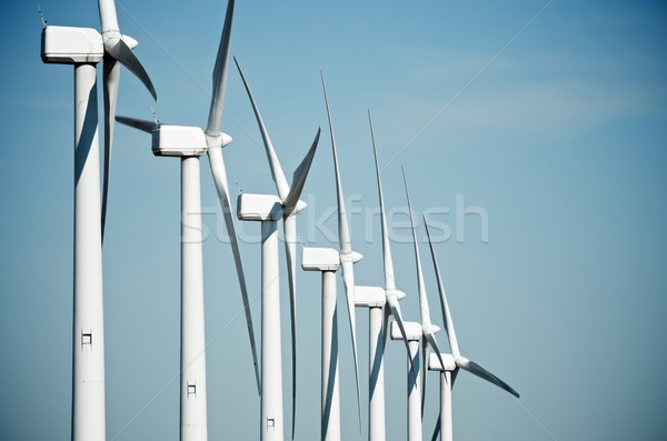 wind turbines Stock photo © pedrosala