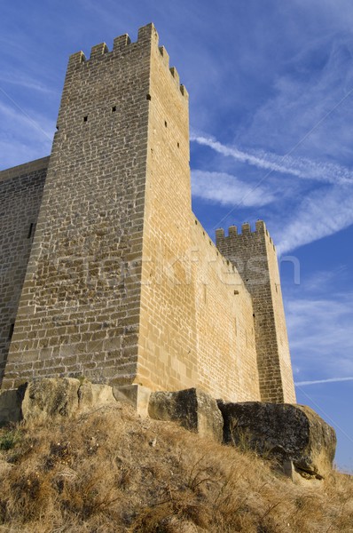 Stock photo: Sadaba castle