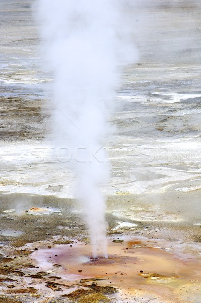 geyser Stock photo © pedrosala