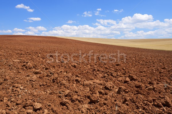 plowed field Stock photo © pedrosala