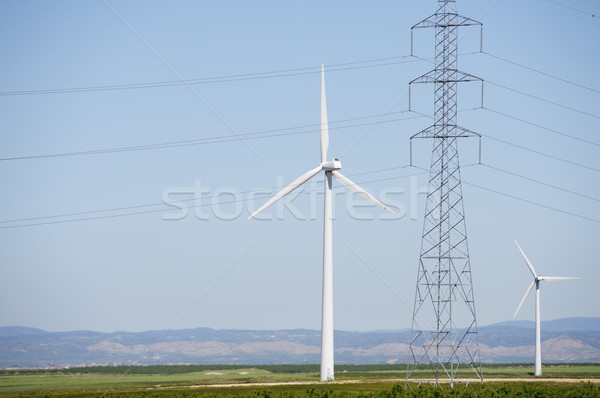 Vento energia moinho de vento produção fazenda industrial Foto stock © pedrosala