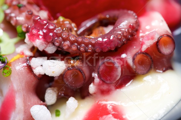 Octopus tapa Stock photo © pedrosala