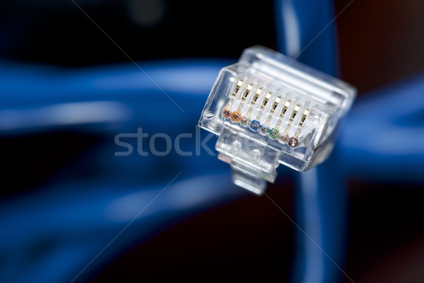 Ethernet niebieski kabel komputera czarny sieci Zdjęcia stock © pedrosala