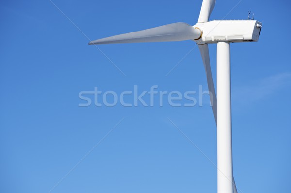 Wind energy Stock photo © pedrosala