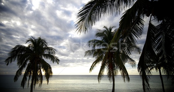 Stockfoto: Tropische · zonsondergang · strand · la · schiereiland · Cuba
