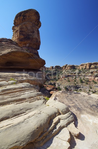 Canyonlands National Park Stock photo © pedrosala