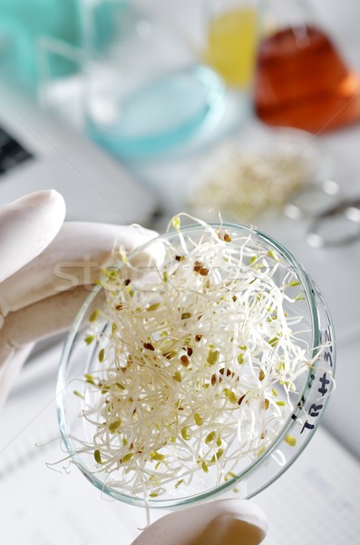 Alimente laborator biotehnologie mână tehnologie Imagine de stoc © pedrosala