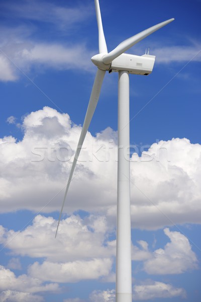 wind energy Stock photo © pedrosala