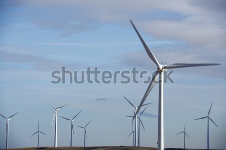 wind energy Stock photo © pedrosala