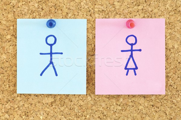 Zdjęcia stock: Równość · niebieski · różowy · papieru · kobieta · kobiet