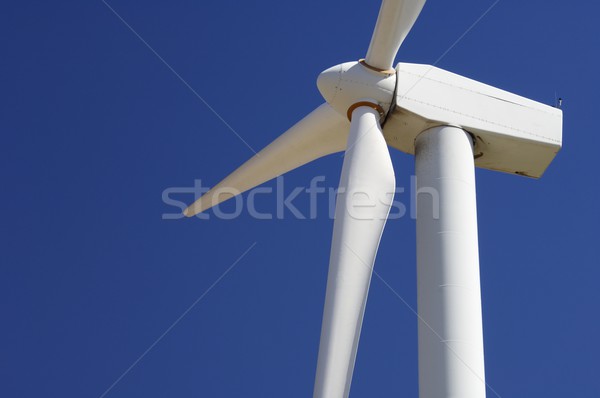 windmill Stock photo © pedrosala