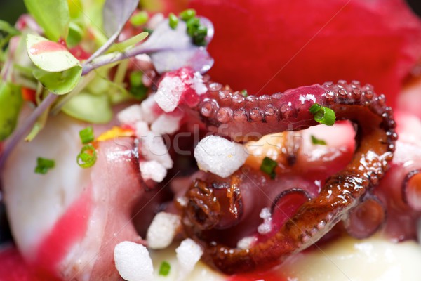осьминога овощей продовольствие рыбы красный пластина Сток-фото © pedrosala