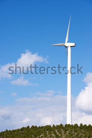 wind energy Stock photo © pedrosala