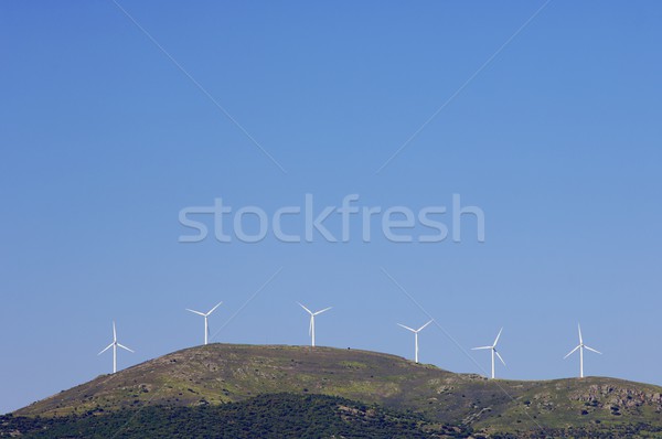 Windmills Stock photo © pedrosala