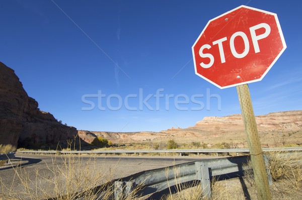 stop Stock photo © pedrosala