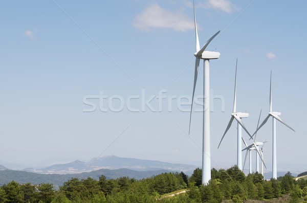 wind turbines Stock photo © pedrosala