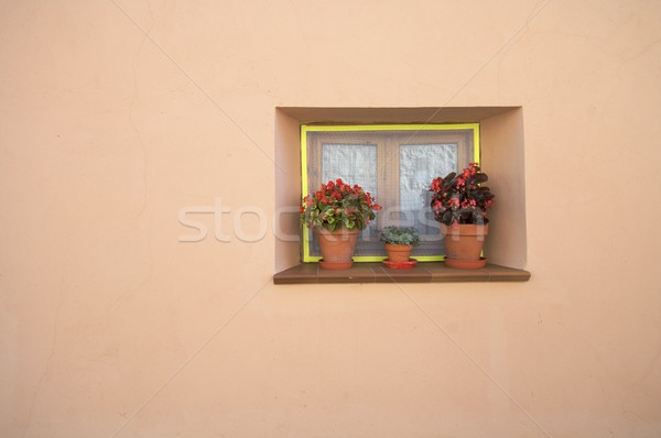 Window and wall Stock photo © pedrosala