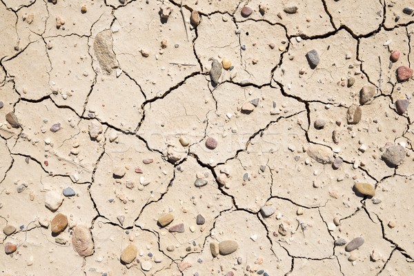 Trockenheit Land groß Auflösung Erde tot Stock foto © pedrosala