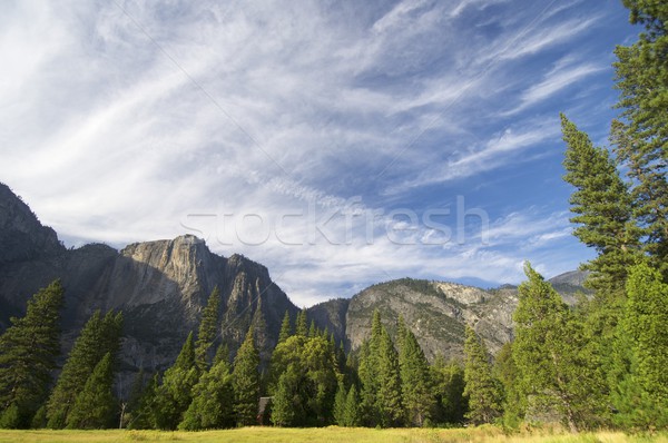 Yosemite prato yosemite national park USA cielo erba Foto d'archivio © pedrosala