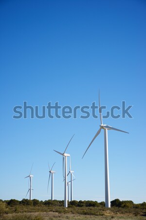 Szél energia csoport megújuló elektromos gyártás Stock fotó © pedrosala