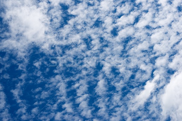 Niebo w tle wysoki niebo szczegół chmury Zdjęcia stock © pedrosala
