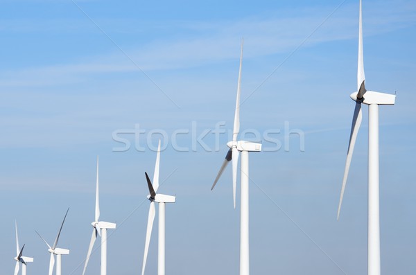 windmills Stock photo © pedrosala