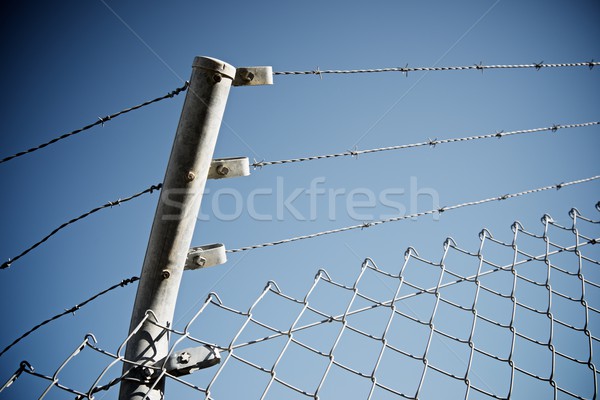 Barbed wire fence Stock photo © pedrosala