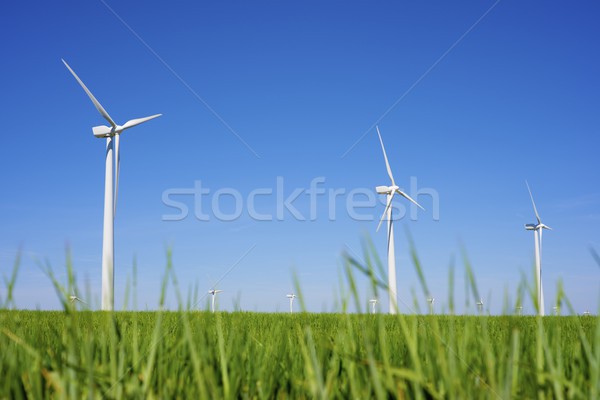 Vento energia elétrico poder produção grama Foto stock © pedrosala
