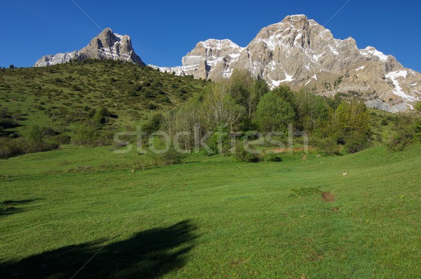 Montagna valle cielo albero primavera natura Foto d'archivio © pedrosala