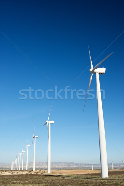 Wind energy Stock photo © pedrosala