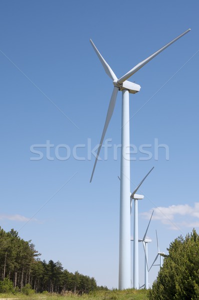 wind turbines Stock photo © pedrosala