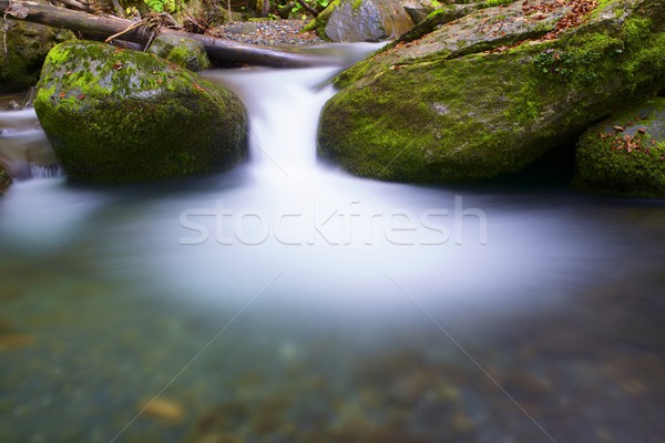 ручей шелковистый потока лес долины природы Сток-фото © pedrosala