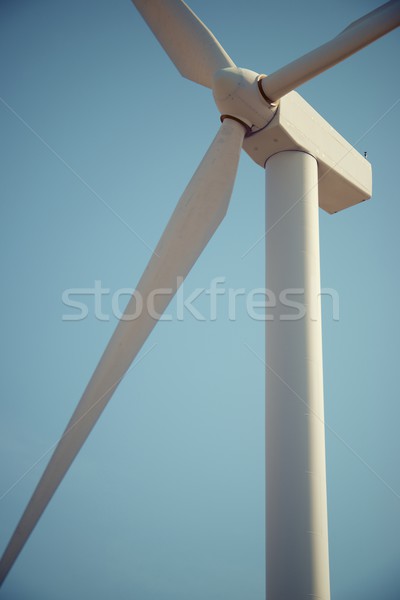 ветер энергии Windmill электрических власти производства Сток-фото © pedrosala