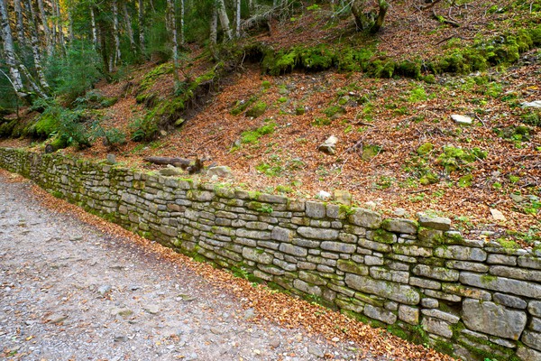 Randonnée sentier parc mur nature paysage [[stock_photo]] © pedrosala