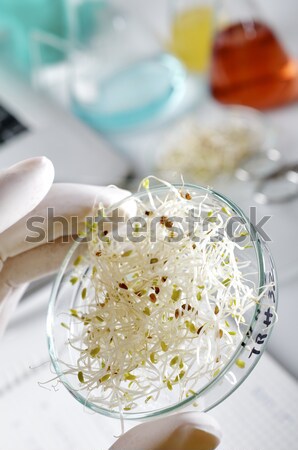 Comida laboratório biotecnologia mão tecnologia Foto stock © pedrosala